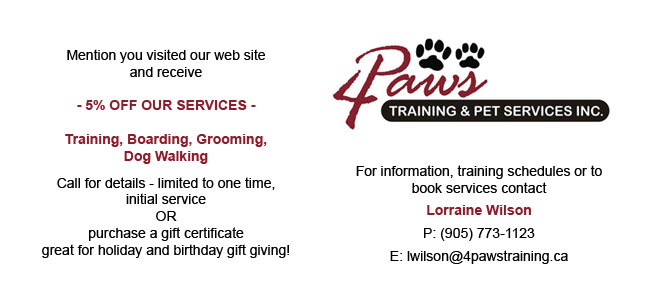 dog boarding and grooming 4 paws